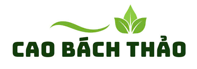 Kinh Doanh  Cao B&aacute;ch Thảo